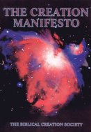 Image of book cover: Creation Manifesto