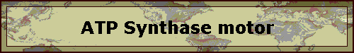 ATP Synthase motor