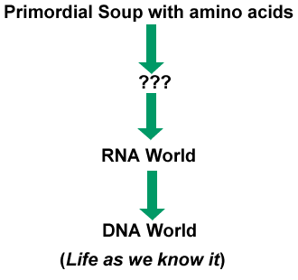 Diagram showing progress from primordial soup to DNA world